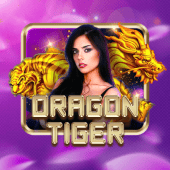 Dragon Tiger live casino playtime gaming