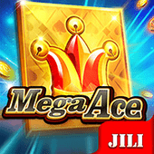 Mega Ace playtime gaming