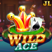 Wild Ace playtime gaming